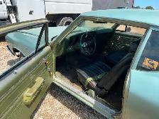 Rare 69 Post Beaumont - Photo 5