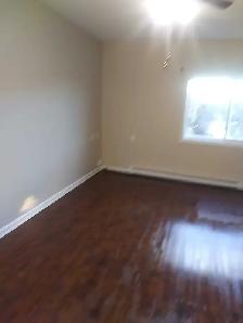 plastering and painting - Photo 3