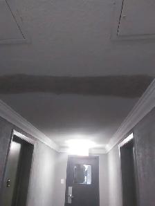 plastering and painting - Photo 5