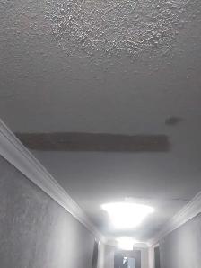 plastering and painting - Photo 6