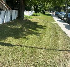 lawn care service.