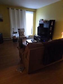 Appartement de 2 chambres et 1 salle de bain - Photo 4