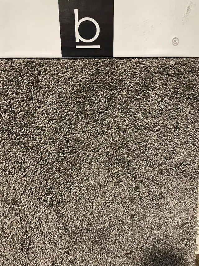 34 OZ CARPET SUPPLY AND INSTALL WITH 8 LB PADDING-2.99 SF