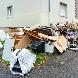 Dumpy Junk Removal & Moving