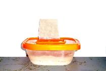 Micro worm starter culture