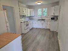 Beautiful Renovated 4-Bedroom Home for Rent - Photo 4