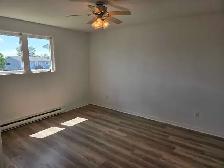 Beautiful Renovated 4-Bedroom Home for Rent - Photo 8