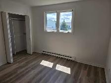 Beautiful Renovated 4-Bedroom Home for Rent - Photo 9