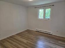 Beautiful Renovated 4-Bedroom Home for Rent - Photo 10