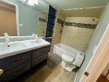 Big Beautiful 2 Bedroom Suite - Photo 5