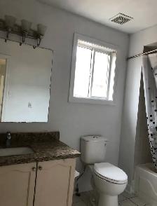 4 Bedroom Basement house Brampton - Bovaird & Chinguaco - Photo 9