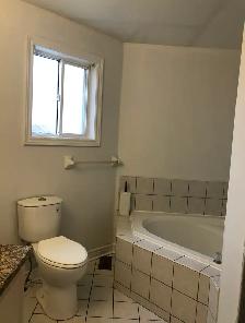 4 Bedroom Basement house Brampton - Bovaird & Chinguaco - Photo 10