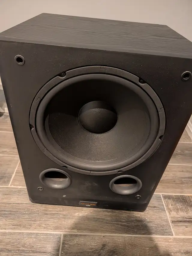 David -300  Subwoofer