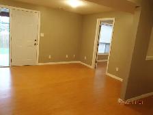 One bedroom walkout basement apartment, South End of Guelph - Photo 4