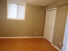 One bedroom walkout basement apartment, South End of Guelph - Photo 6