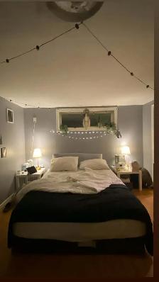 2 Bedroom   Den Basement Apartment - Peterborough West End