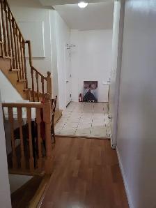 Room for Rent in York University Village