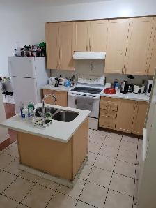Room for Rent in York University Village - Photo 2