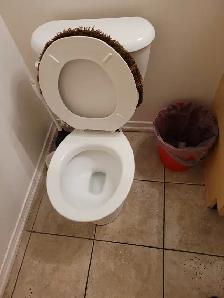 Room for Rent in York University Village - Photo 4