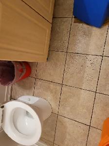 Room for Rent in York University Village - Photo 5