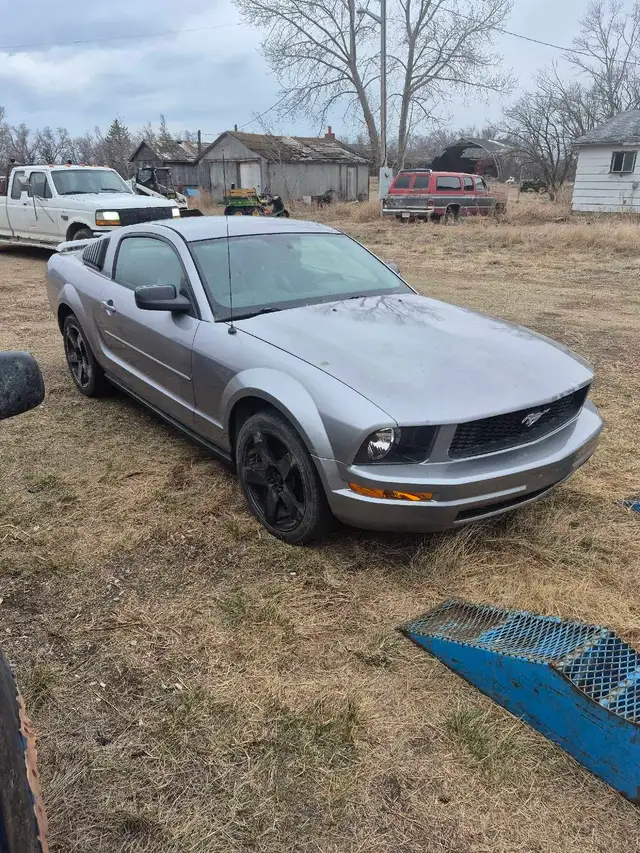 2006 mustang v6