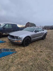 2006 mustang v6 - Photo 3