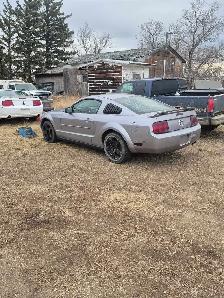 2006 mustang v6 - Photo 4