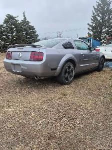 2006 mustang v6 - Photo 5