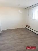 Westbro 1-Bedroom | 10-Min Walk to Broadview PS & Nepean HS | W - Photo 4