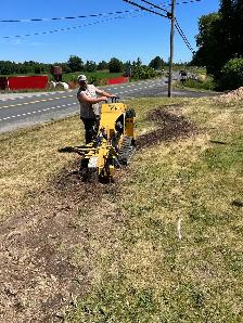LA Tree & Stump Removal - Photo 10