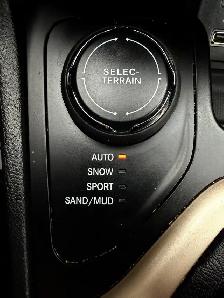 2017 Jeep Cherokee Altitude 4dr SUV 4WD (2.4L 4cyl 9A) - Photo 10