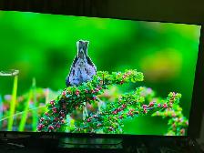 55 inches 4K smart tv like new - Photo 4