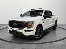 2022 Ford F-150 XLT XLT|Sport|Accident Free
