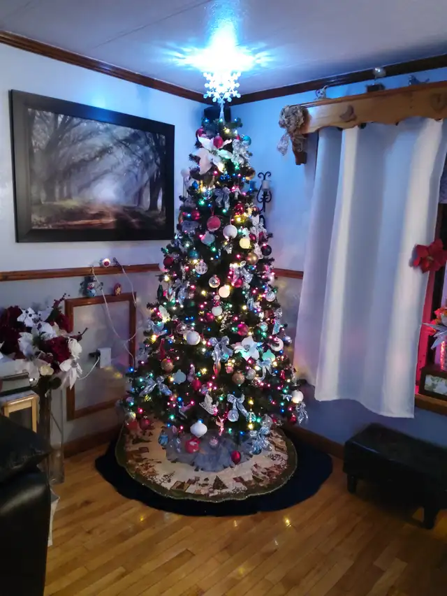 Everything  christmas