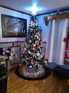 Everything  christmas
