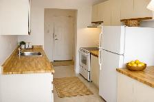 Bright Clean 1 Bedroom Apartment Available at 1600 Adelaide - Photo 3