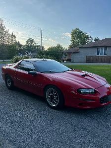 1999 CAMARO SS SLP T56 Magnum Beautiful Car - Photo 3