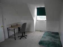 4 1 Bedroom house $3300/m inclusive with internet - Photo 5