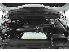 2026 Ford F-150 Raptor 801A - Photo 11