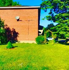 Lawnmowing and Yard cleaning - Photo 2