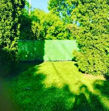 Lawnmowing and Yard cleaning - Photo 3