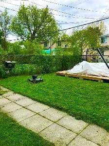 Lawnmowing and Yard cleaning - Photo 4