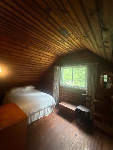 Looking for a cleaner immediately - Photo 6