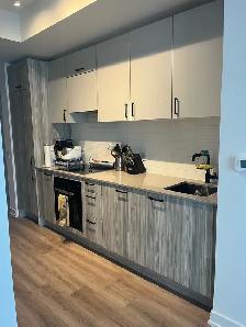Brand New  Master Bedroom for Rent (Female Only) – Toronto - Photo 4