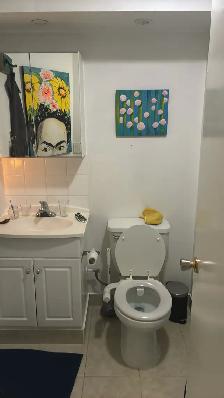 large 1 bedroom in the heart of Parkdale - Photo 8