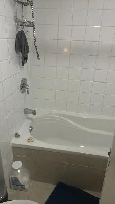 large 1 bedroom in the heart of Parkdale - Photo 9