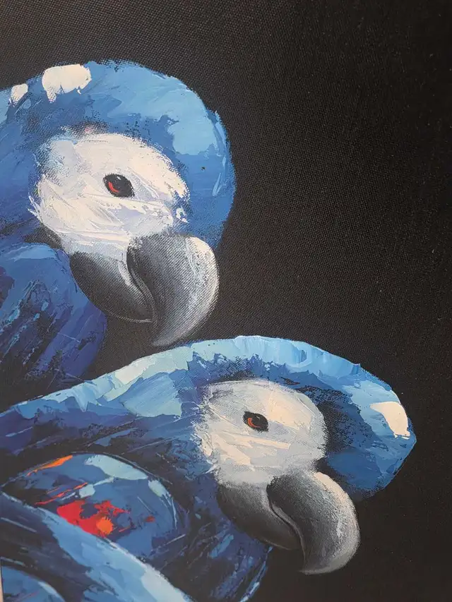 Nouveau fournisseurs et eleveurs d oiseaux exotiques rares