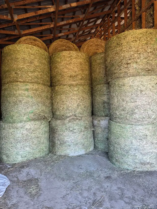 4 by 5 Round Bales