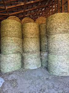 4 by 5 Round Bales