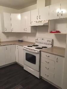 2 Bedroom apartment for rent (available on September 1st) - Photo 11